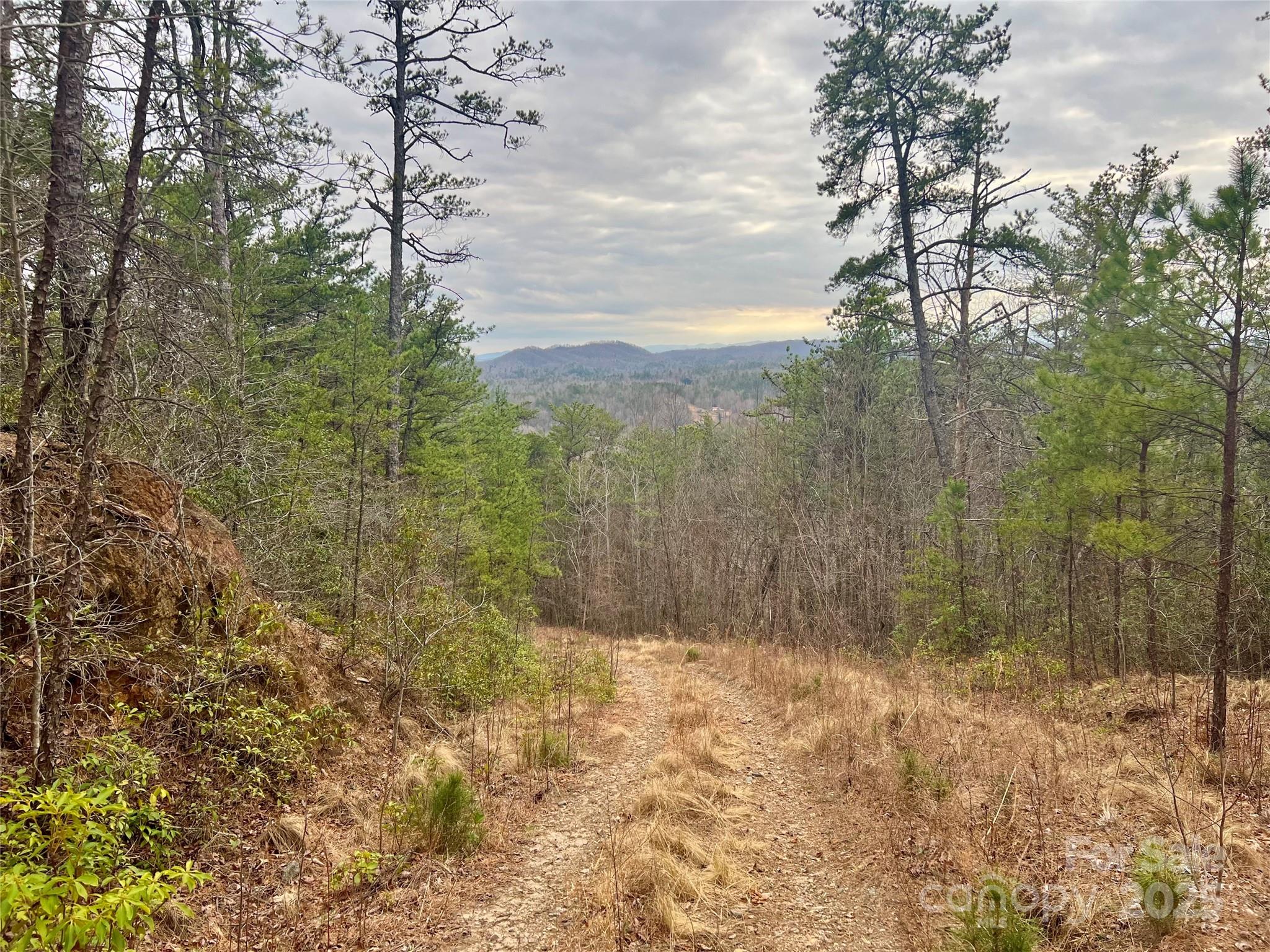 0 Whisnant Road, Unit 7 Lenoir, NC 28645 - Photo 2 of 14 a view of a yard with trees