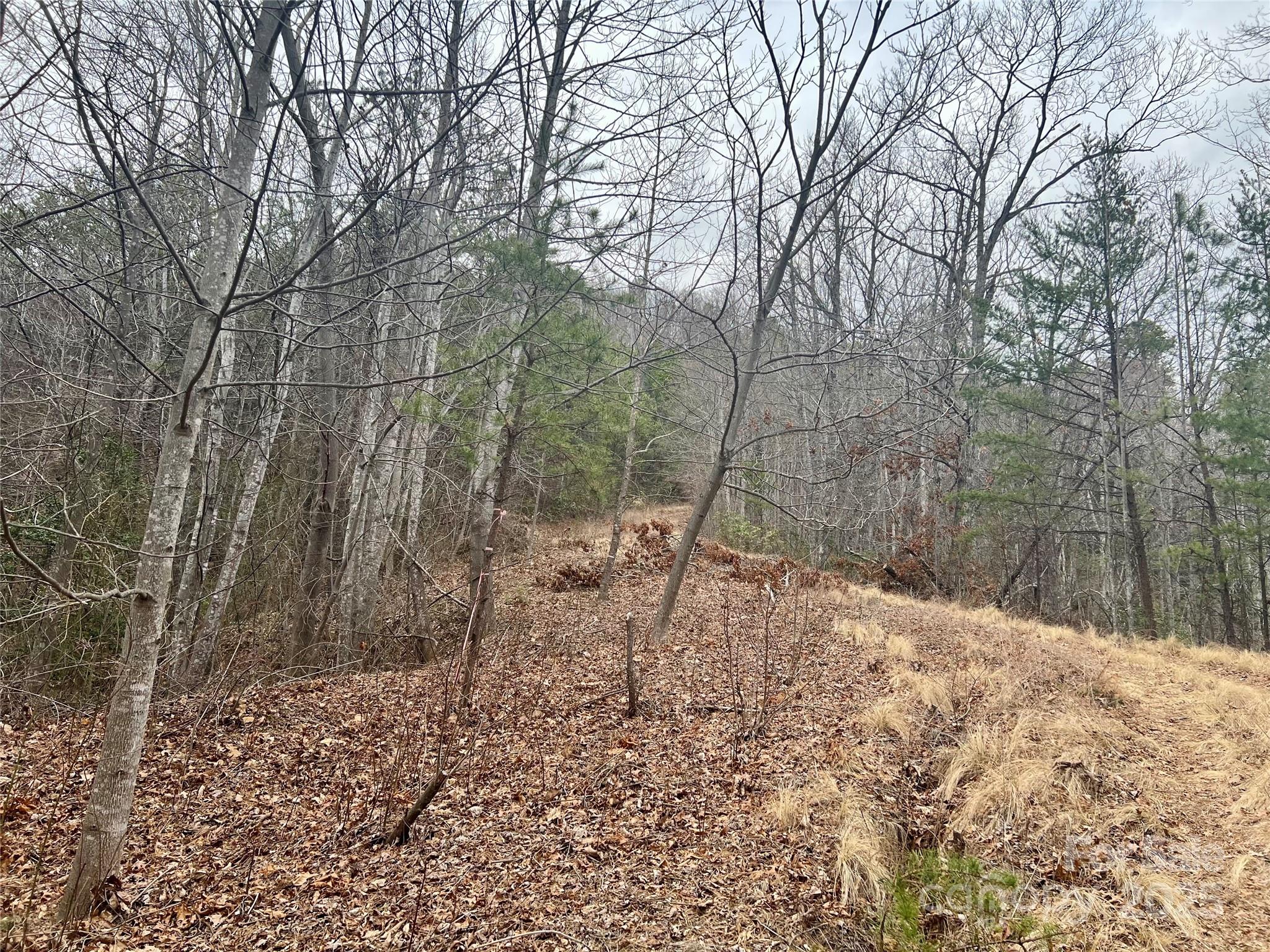 0 Whisnant Road, Unit 7 Lenoir, NC 28645 - Photo 4 of 14 a backyard of a house with lots of green space
