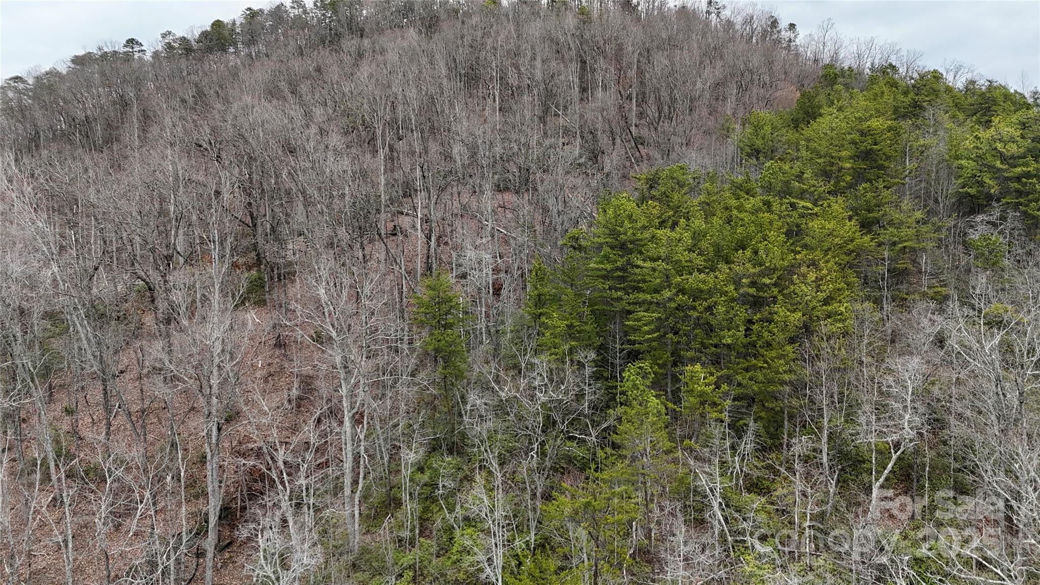 0 Whisnant Road, Unit 7 Lenoir, NC 28645 - Photo 7 of 14 a view of a field of grass and trees