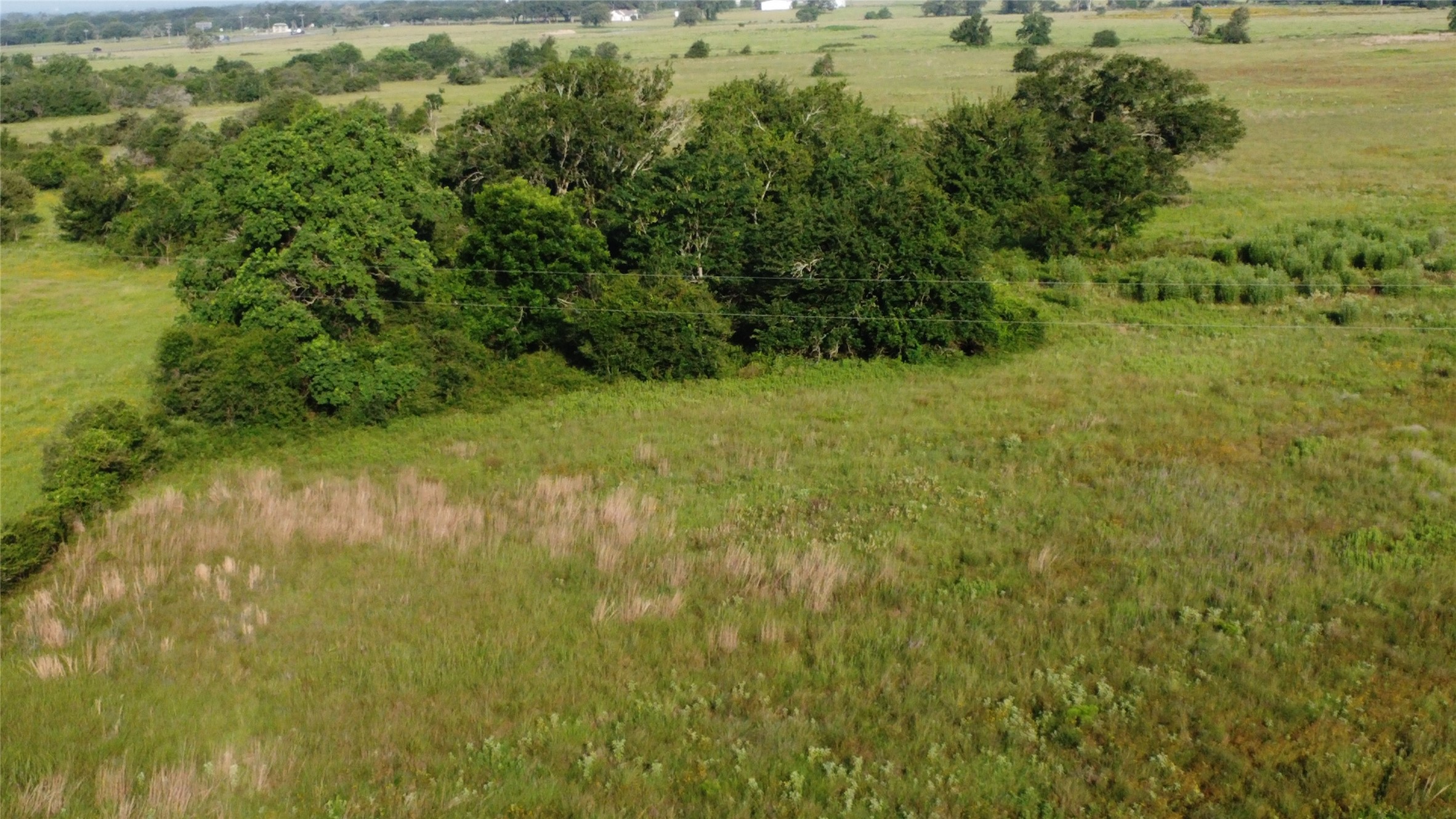 23579 Jones Road Hempstead, TX 77445 - Photo 10 of 10