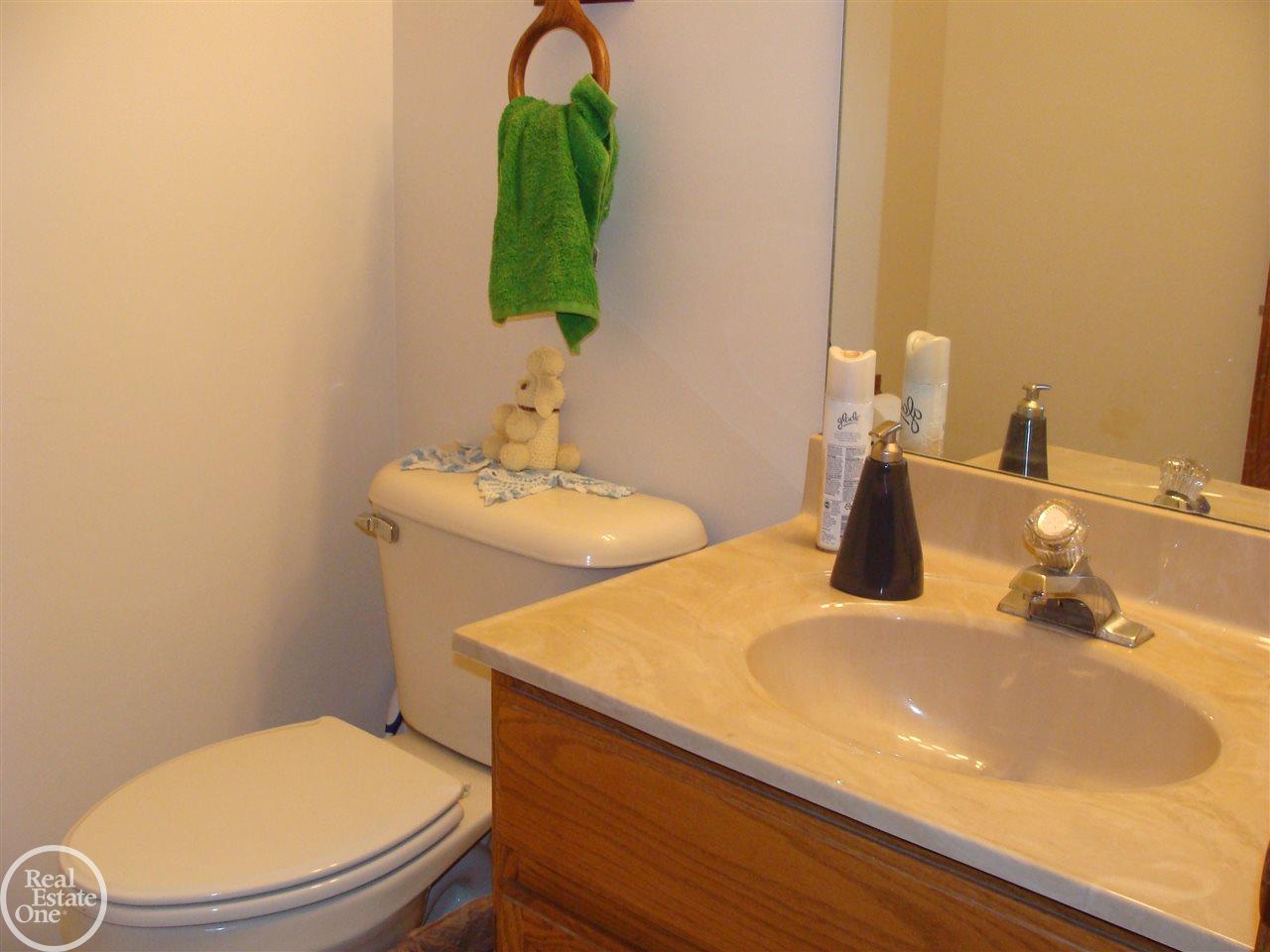 2115 Ditty Road Smiths Creek, MI 48074 - Photo 36 of 52 31315355-38.JPG