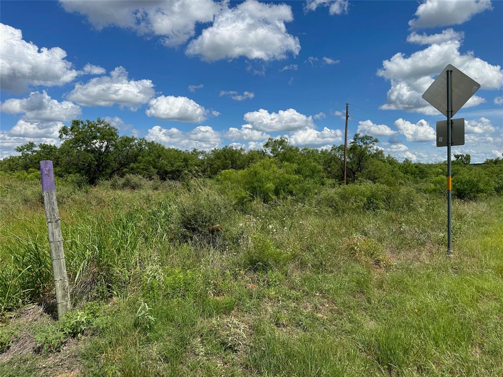 10 Fm 585 Bangs, TX 76823 - Photo 11 of 30 a view of a garden