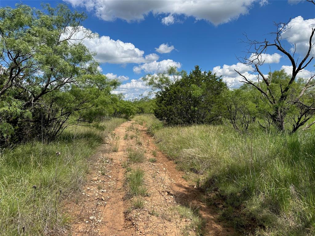 10 Fm 585 Bangs, TX 76823 - Photo 13 of 30