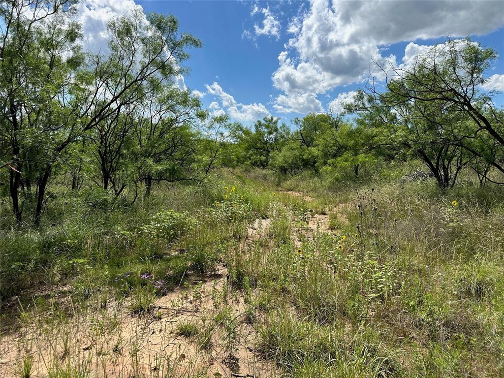 10 Fm 585 Bangs, TX 76823 - Photo 14 of 30 a view of a garden