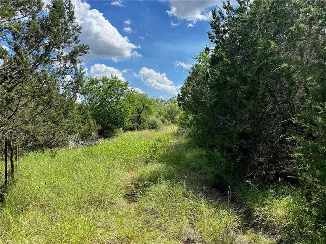 a view of outdoor space and garden