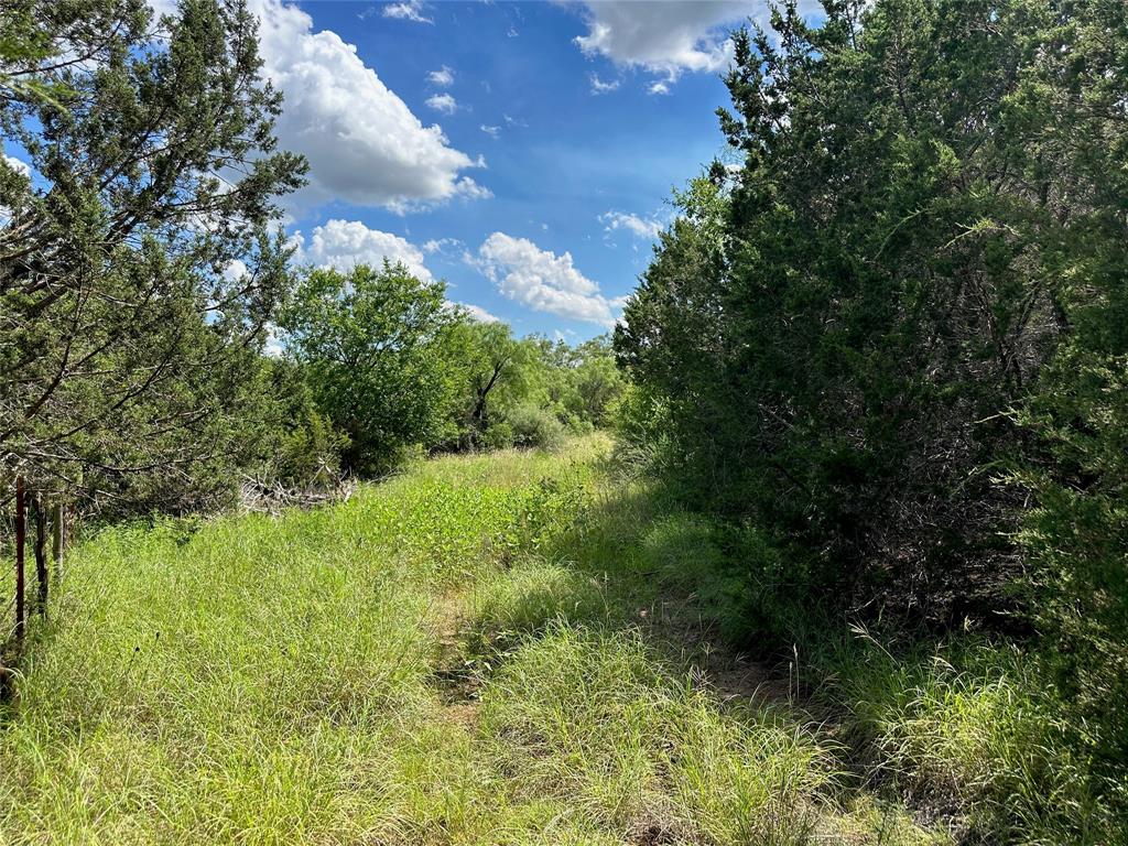 10 Fm 585 Bangs, TX 76823 - Photo 15 of 30 a view of a lush green space