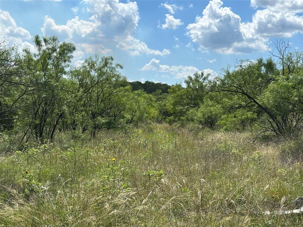 10 Fm 585 Bangs, TX 76823 - Photo 16 of 30 a view of a bunch of trees