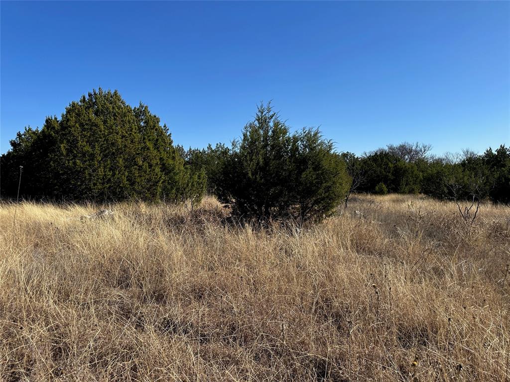 10 Fm 585 Bangs, TX 76823 - Photo 24 of 30 a view of a field