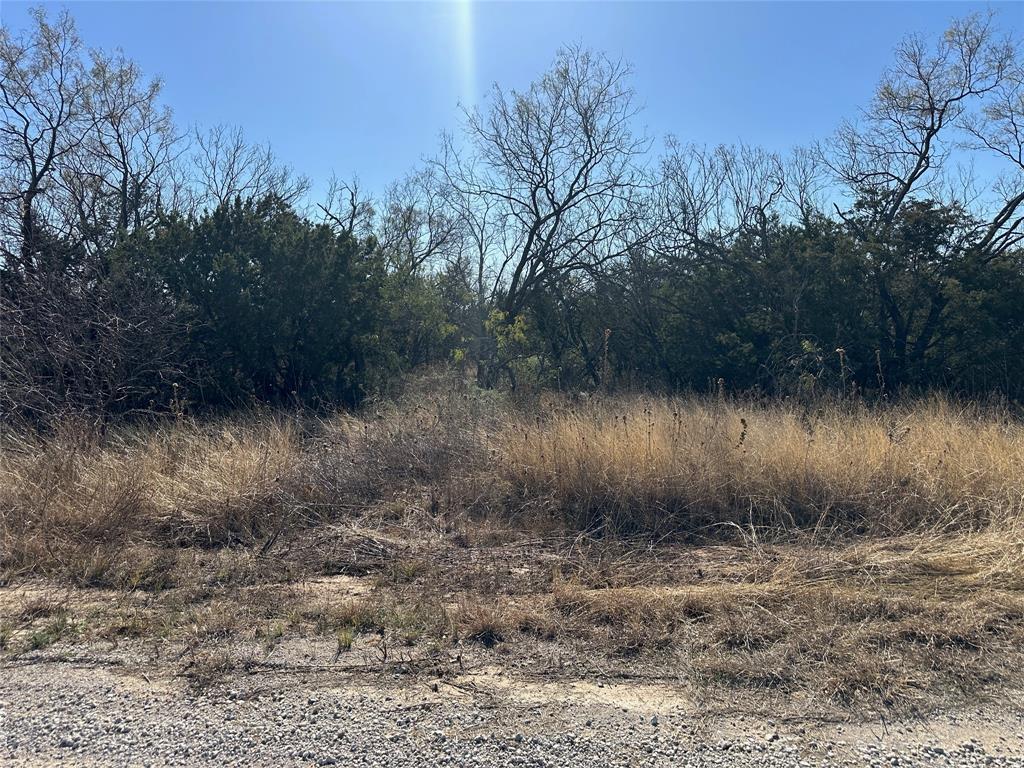 10 Fm 585 Bangs, TX 76823 - Photo 27 of 30 a view of a yard
