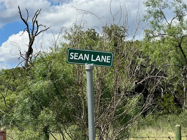 a view of a pathway both side of yard