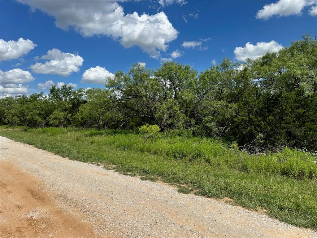 10 Fm 585 Bangs, TX 76823 - Photo 7 of 30 a view of a bunch of trees