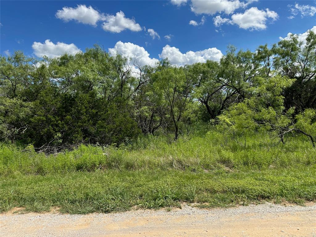10 Fm 585 Bangs, TX 76823 - Photo 8 of 30 a view of a garden