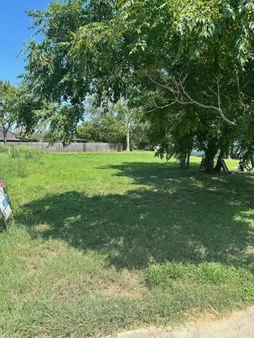 a view of a grassy field with trees