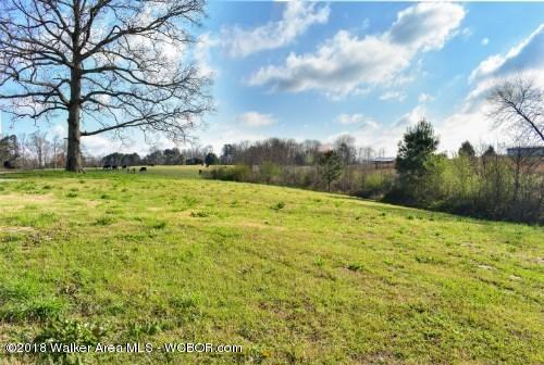 4379 Rose Hill Road Nauvoo, AL 35578 - Photo 7 of 28 Gallery Image 7