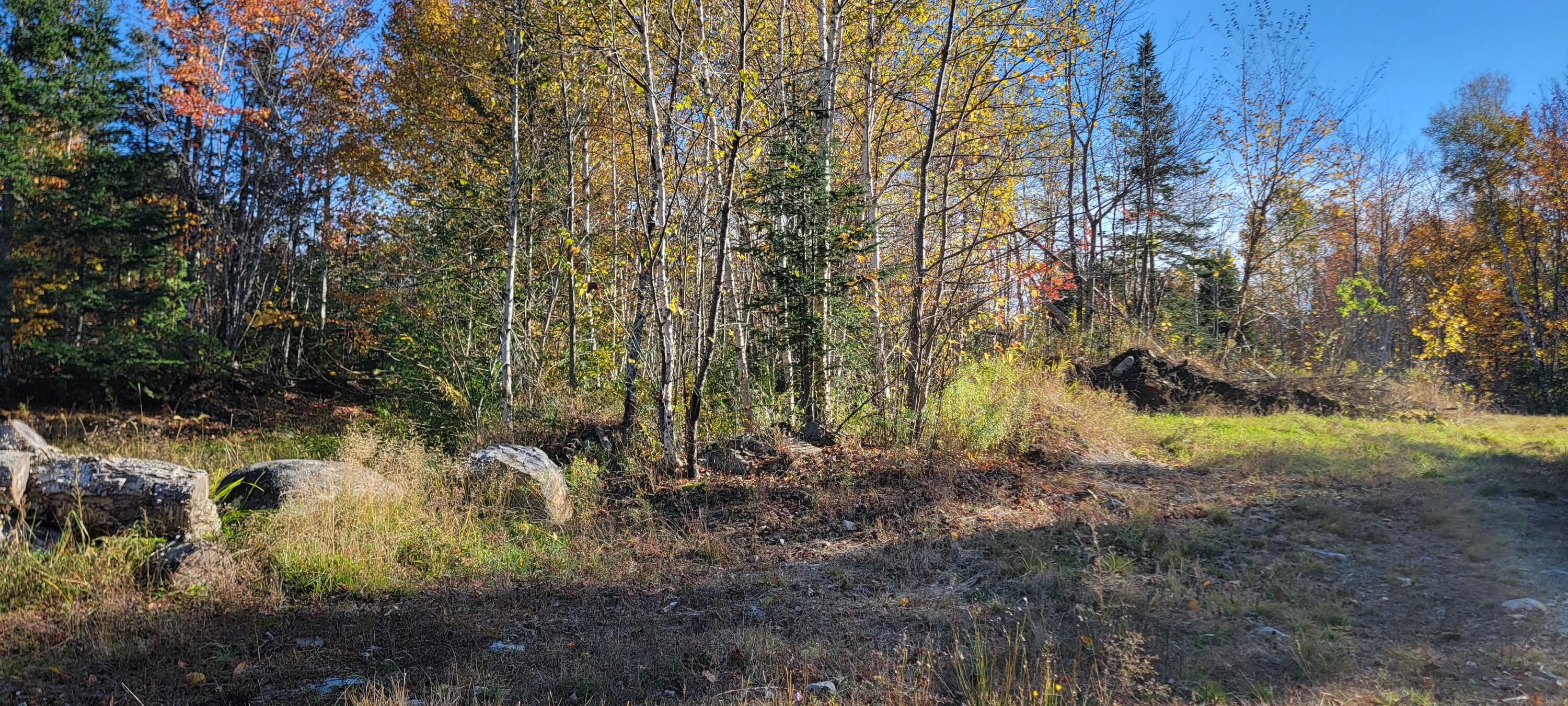 51 East Ridge Road Cooper, ME 04657 - Photo 4 of 10 1000012896