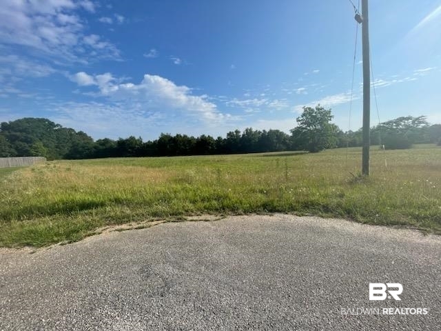 0 Catherine Road Chunchula, AL 36521 - Photo 3 of 3