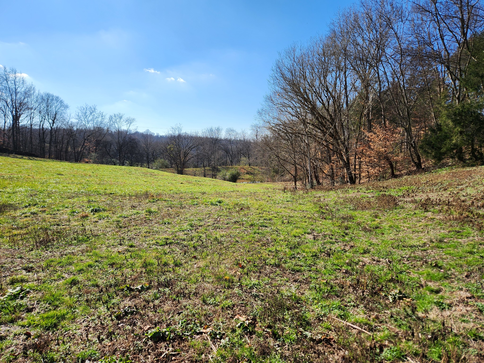 131 Lewis Totty Road Duck River, TN 38454 - Photo 11 of 21 Gallery Image 11