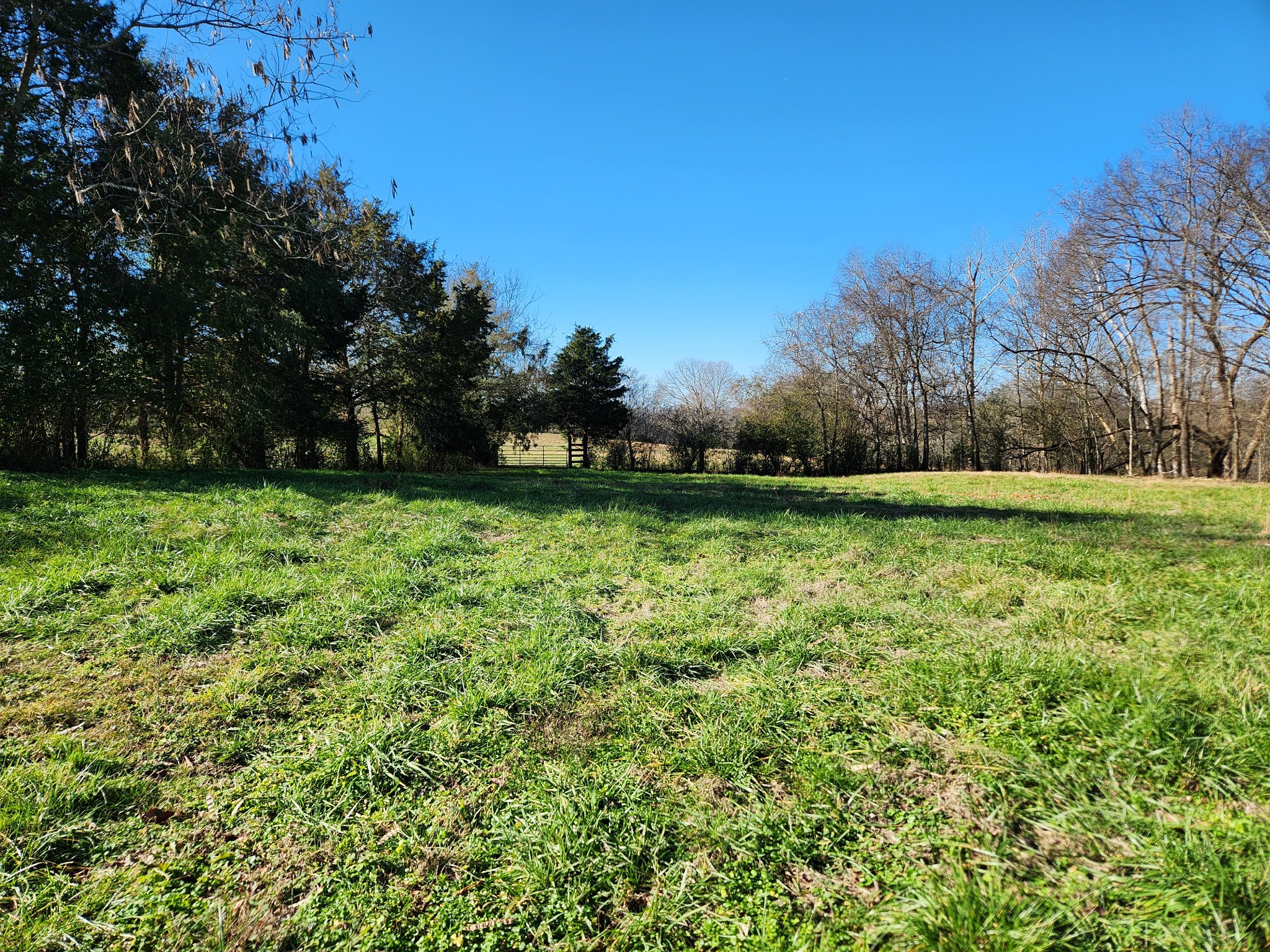 131 Lewis Totty Road Duck River, TN 38454 - Photo 3 of 21 Gallery Image 3
