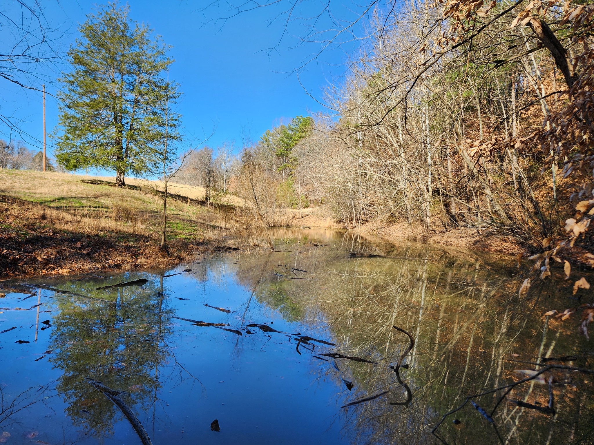 131 Lewis Totty Road Duck River, TN 38454 - Photo 6 of 21 Gallery Image 6