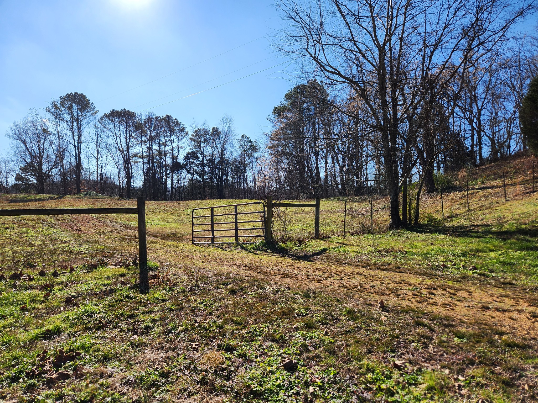 131 Lewis Totty Road Duck River, TN 38454 - Photo 7 of 21 Gallery Image 7