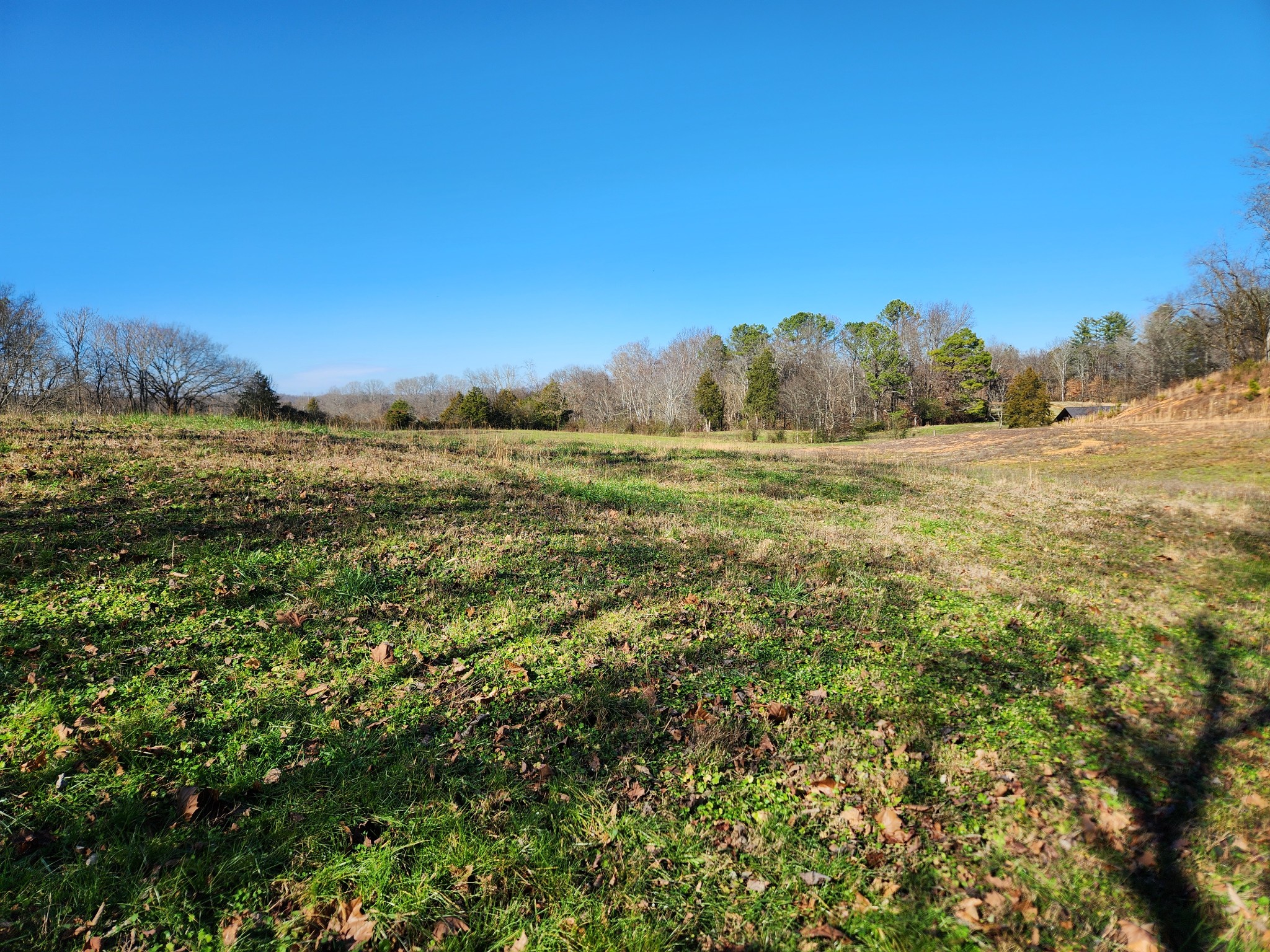 131 Lewis Totty Road Duck River, TN 38454 - Photo 8 of 21 Gallery Image 8