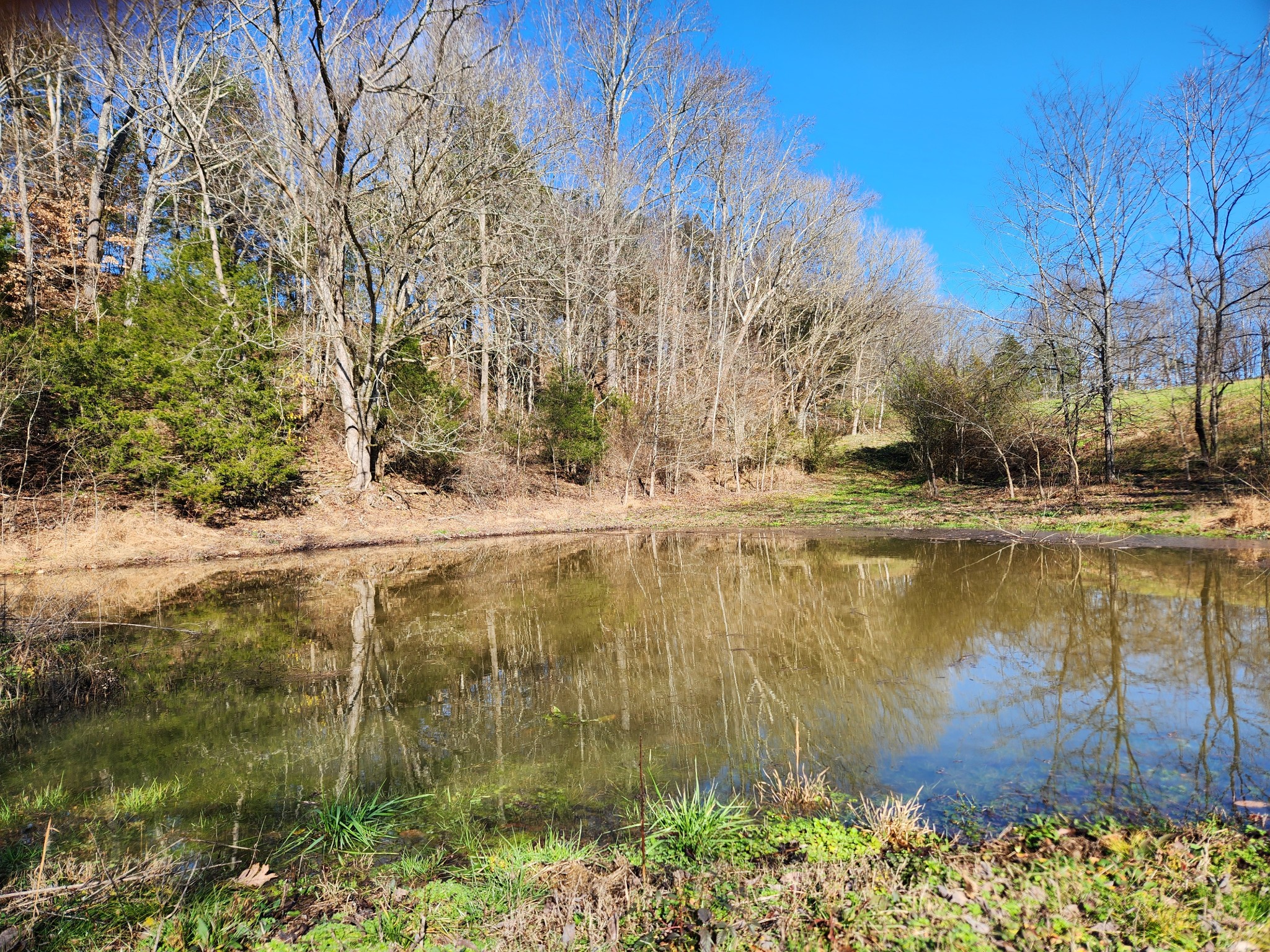 131 Lewis Totty Road Duck River, TN 38454 - Photo 9 of 21 Gallery Image 9
