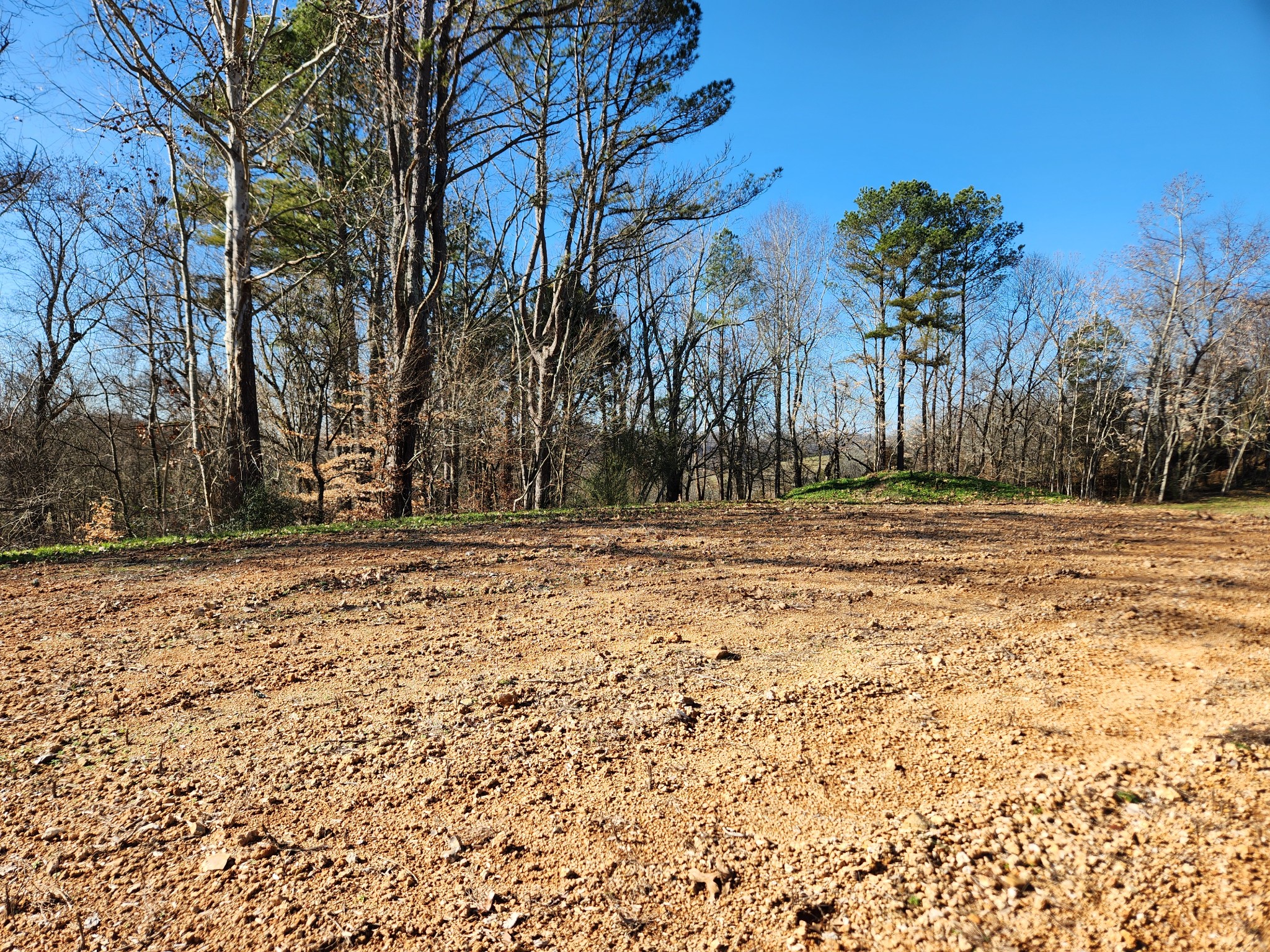 131 Lewis Totty Road Duck River, TN 38454 - Photo 10 of 21 Gallery Image 10