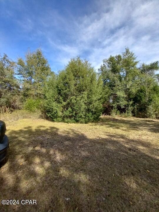 0 Tommy Tucker Road, Unit LOT 2 Altha, FL 32421 - Photo 20 of 26