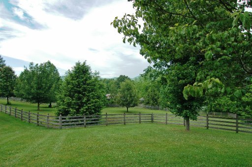 331 East Chestnut Hill Road Townsend, TN 37882 - Photo 24 of 29 Additional Photo