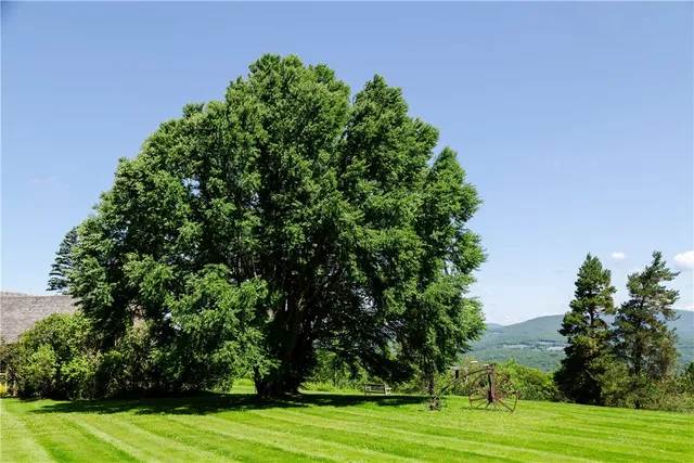 $3,250,000 | 352 Galli Curci Road, Highmount, NY 12441