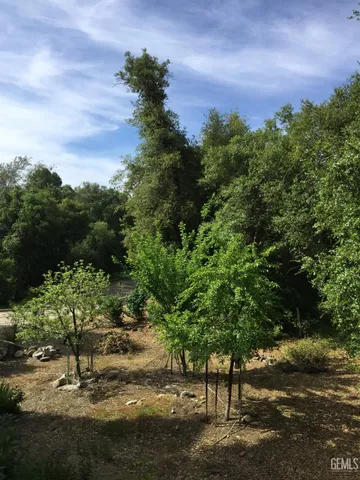 a view of a street with a tree