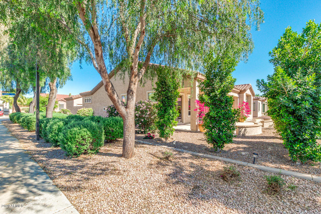 5120 South Ranger Trail Gilbert, AZ 85298 - Photo 44 of 73 45-Ranger