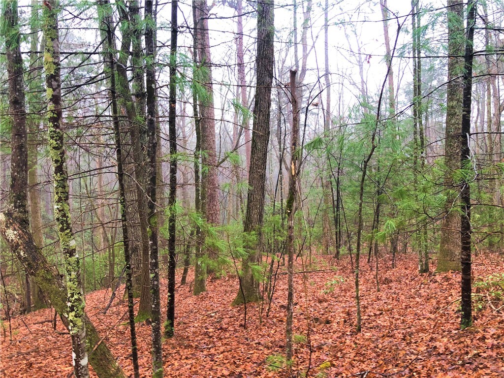 25 Chattooga Lake Road Mountain Rest, SC 29664 - Photo 8 of 16 Gallery Image 8