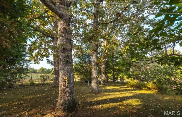 $800,000 | 658 Rr 63, Cabool, MO 65689