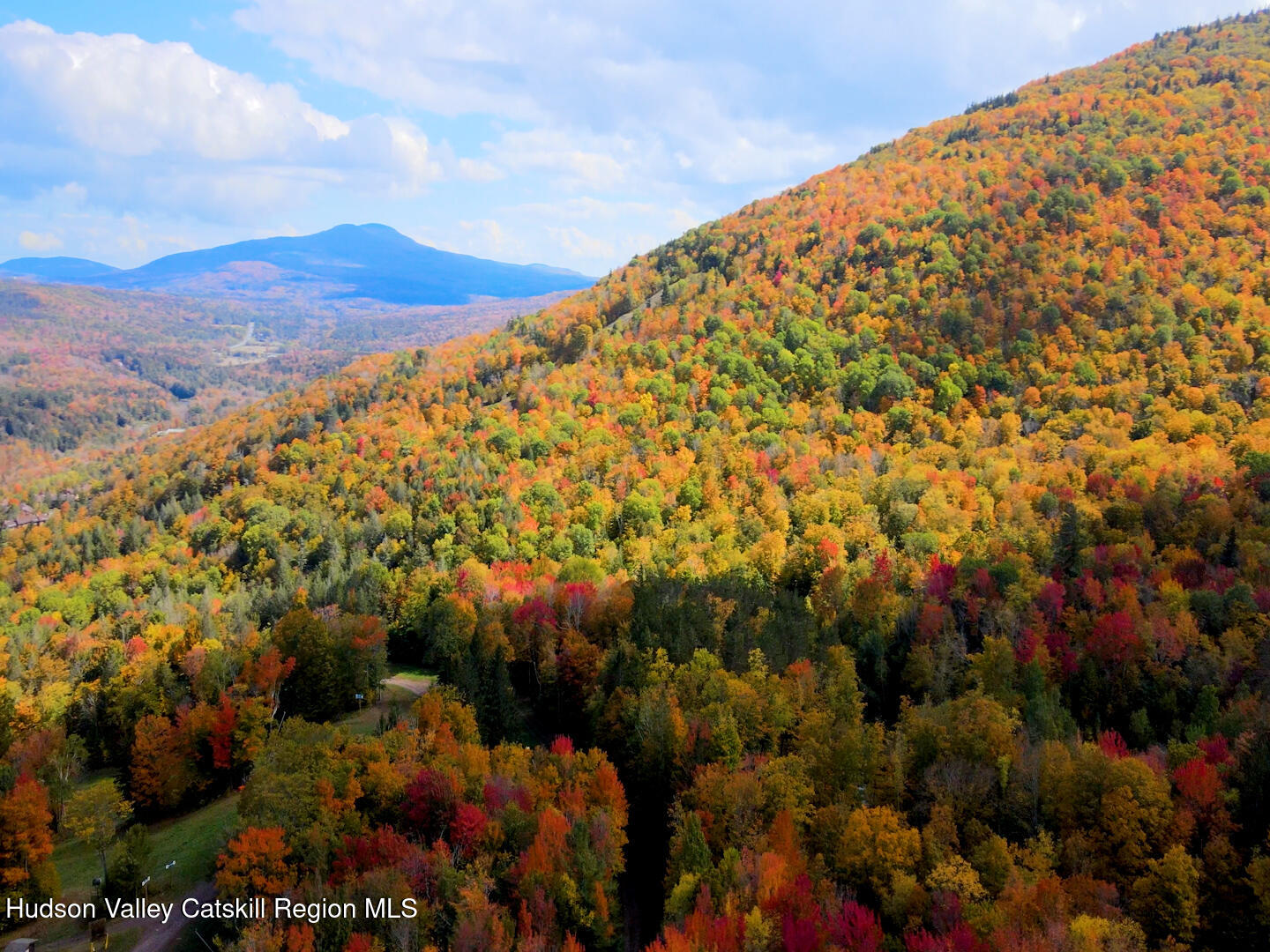 113 Windham Ridge Road Windham, NY 12496 - Photo 11 of 52 fall21