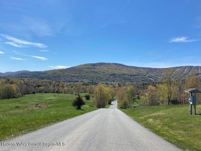 113 Windham Ridge Road Windham, NY 12496 - Photo 2 of 52 main road