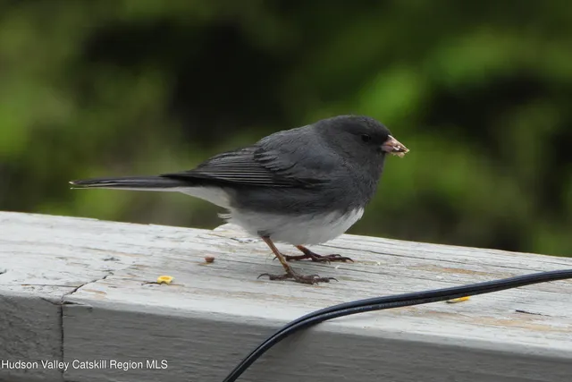 $259,000 | 113 Windham Ridge Road, Windham, NY 12496