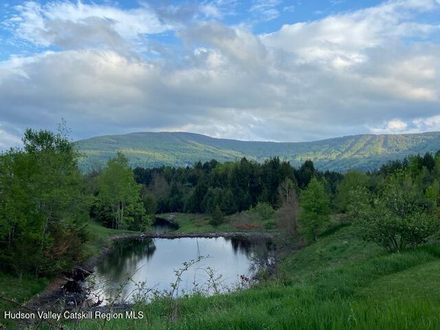 113 Windham Ridge Road Windham, NY 12496 - Photo 42 of 43 pond