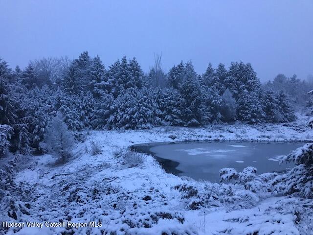 113 Windham Ridge Road Windham, NY 12496 - Photo 45 of 52 snowy pond