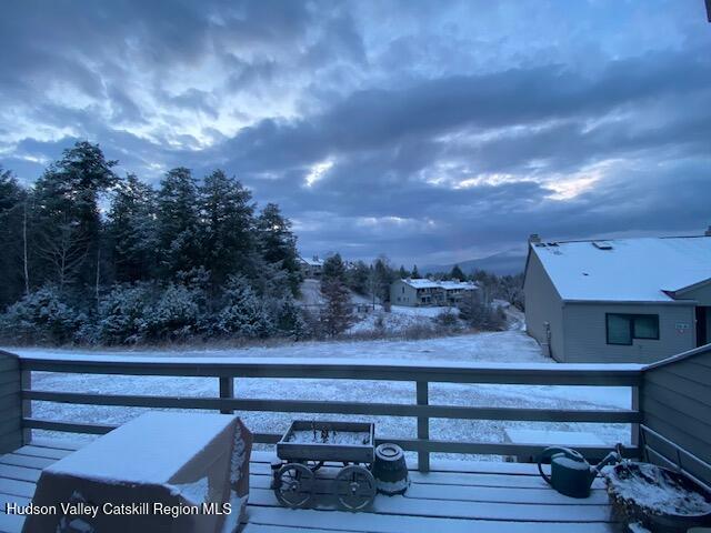 113 Windham Ridge Road Windham, NY 12496 - Photo 50 of 52 snowy deck