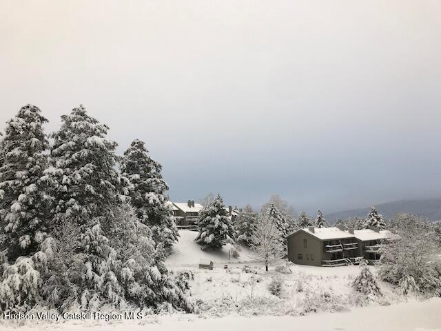 113 Windham Ridge Road Windham, NY 12496 - Photo 51 of 52 a view of a backyard of a house