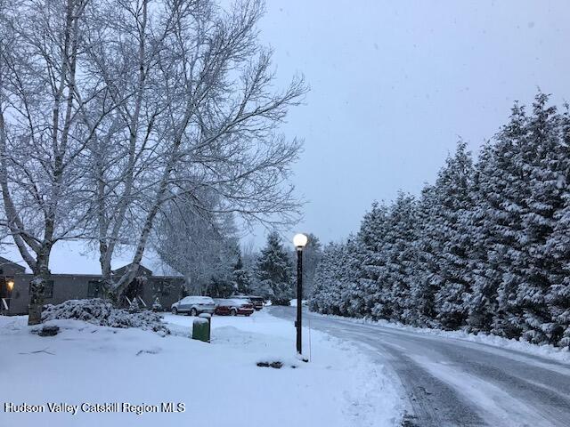 113 Windham Ridge Road Windham, NY 12496 - Photo 52 of 52 snowy road