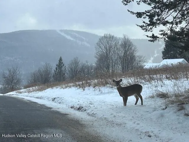 $259,000 | 113 Windham Ridge Road, Windham, NY 12496