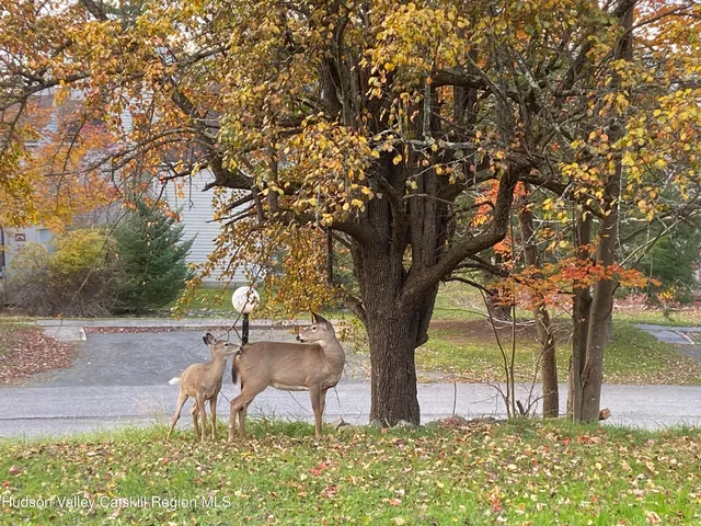 $259,000 | 113 Windham Ridge Road, Windham, NY 12496