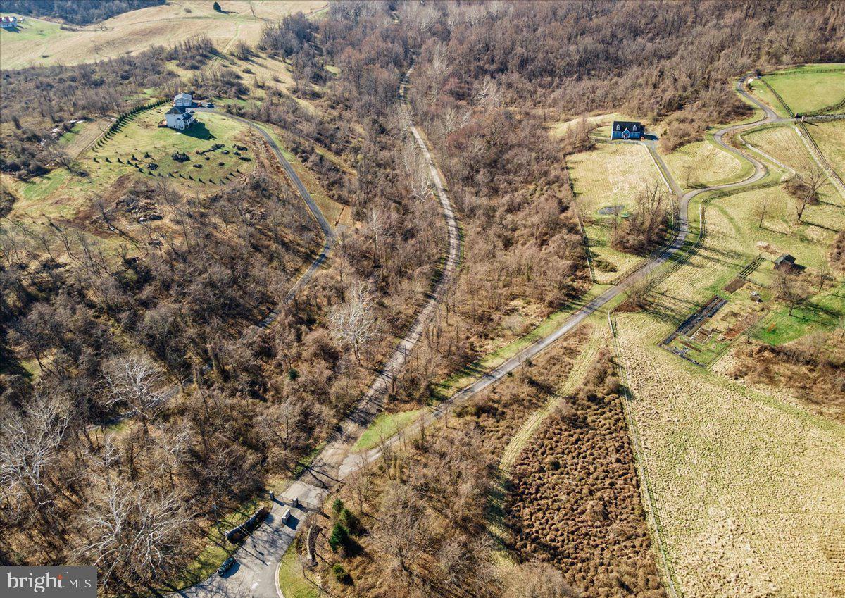 Wapping Farm Road Front Royal, VA 22630 - Photo 13 of 16 a view of a yard