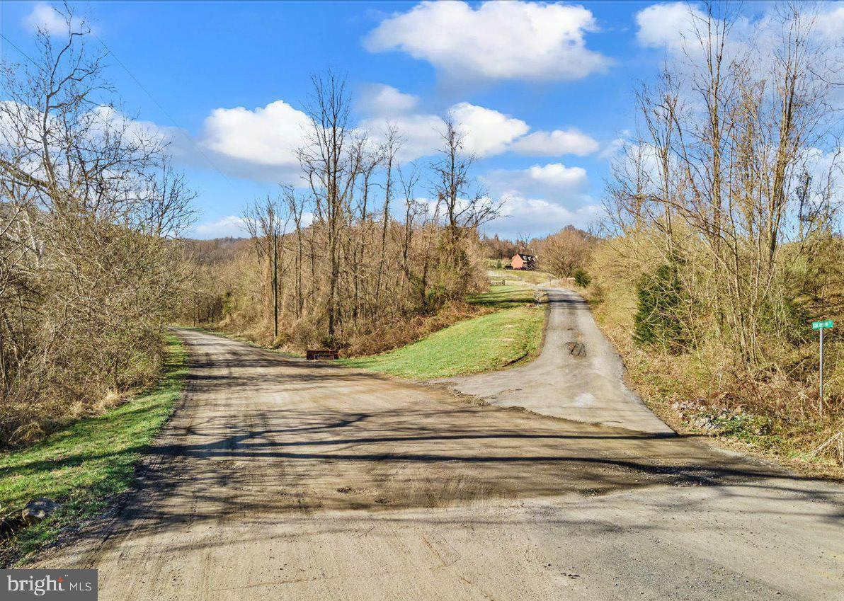 Wapping Farm Road Front Royal, VA 22630 - Photo 4 of 16 a view of a yard with large trees
