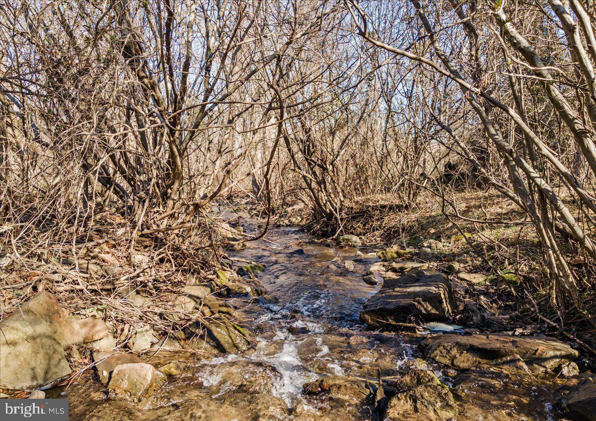 Wapping Farm Road Front Royal, VA 22630 - Photo 7 of 16 a backyard of a house with lots of green space