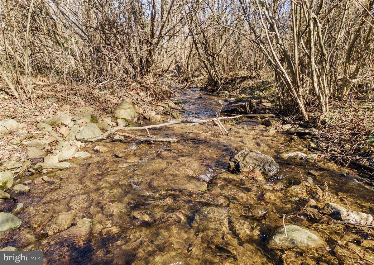 Wapping Farm Road Front Royal, VA 22630 - Photo 8 of 16 a view of a yard