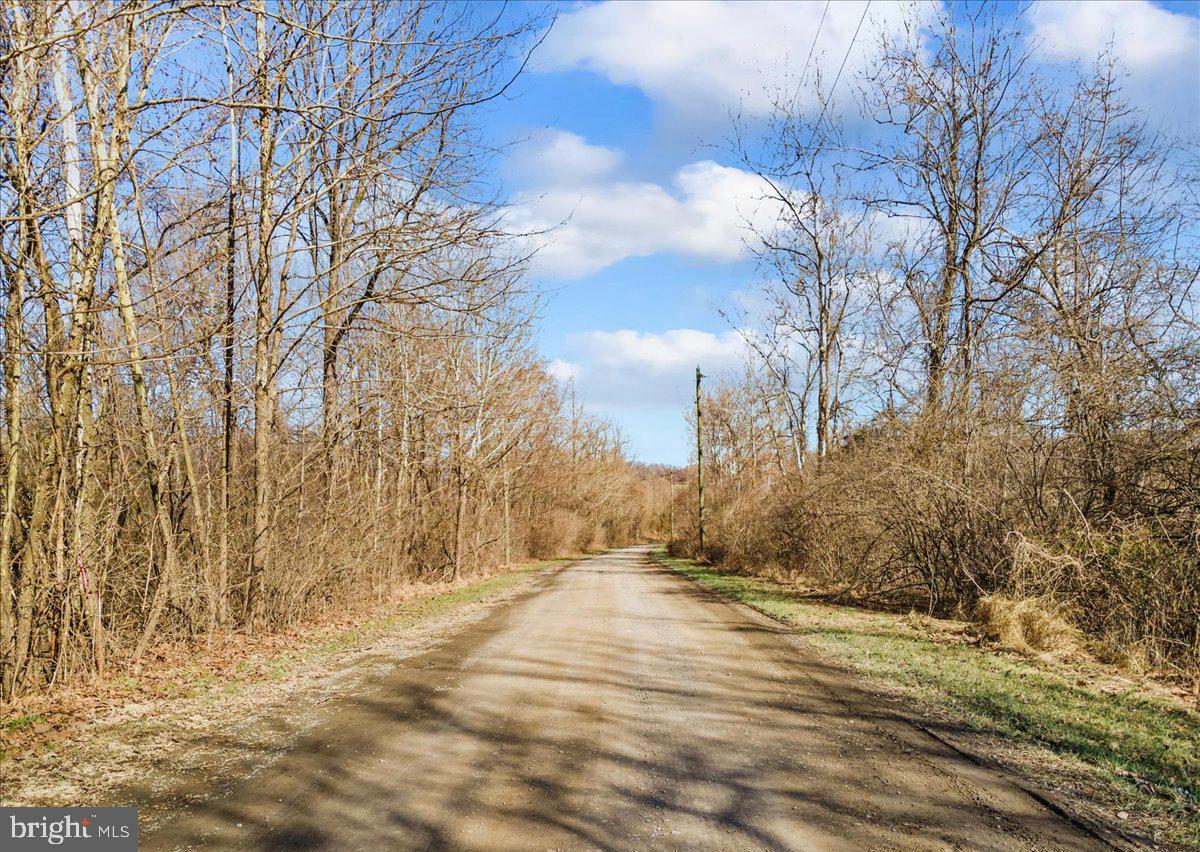 Wapping Farm Road Front Royal, VA 22630 - Photo 9 of 16 a view of empty space and covered with snow