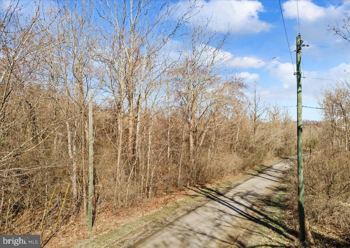 Wapping Farm Road Front Royal, VA 22630 - Photo 10 of 16 a view of a dry yard next to a building